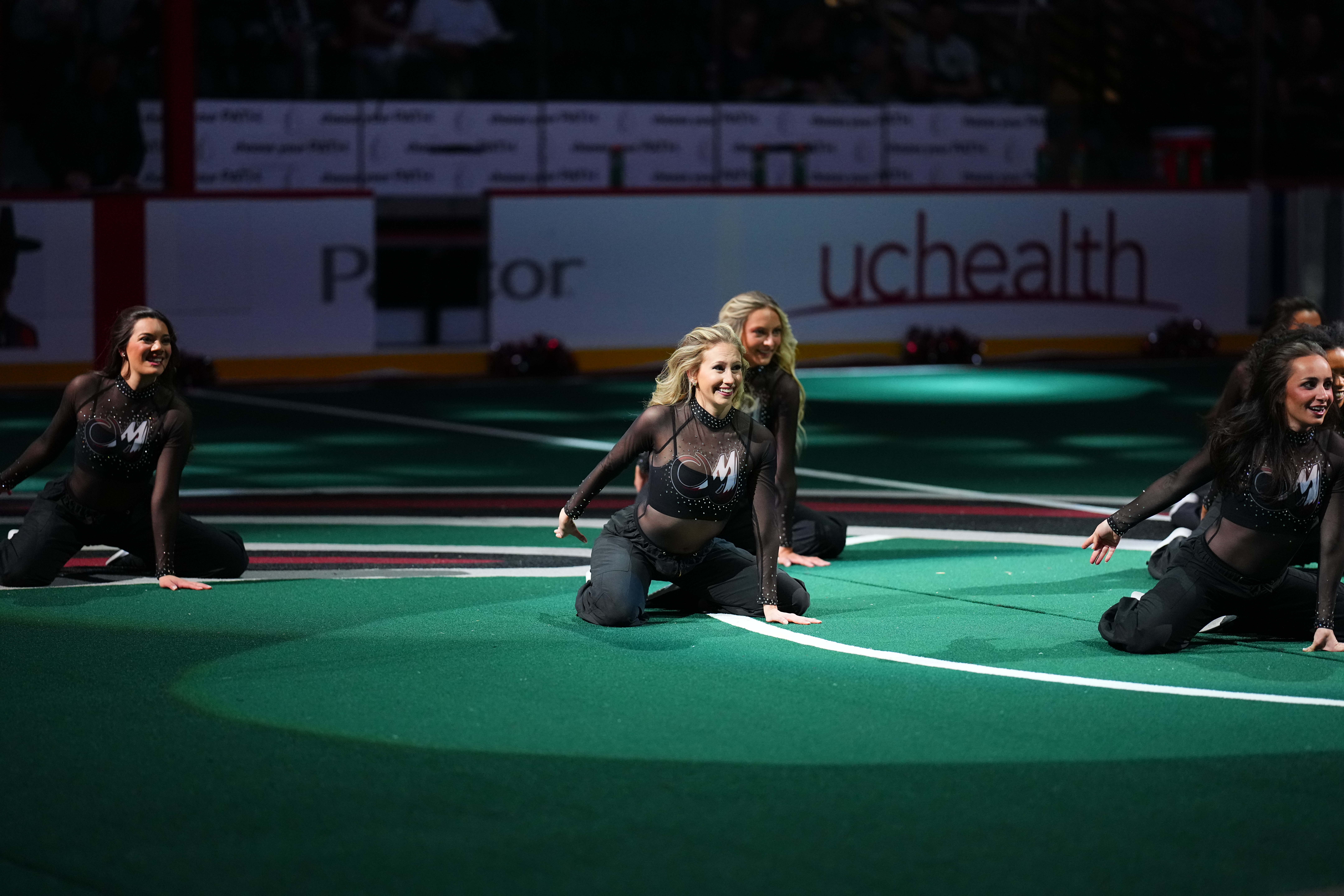 Wild Bunch Auditions